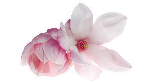 darphin-eshop-kosmetika-darphin.jpg darphin-eshop.jpg